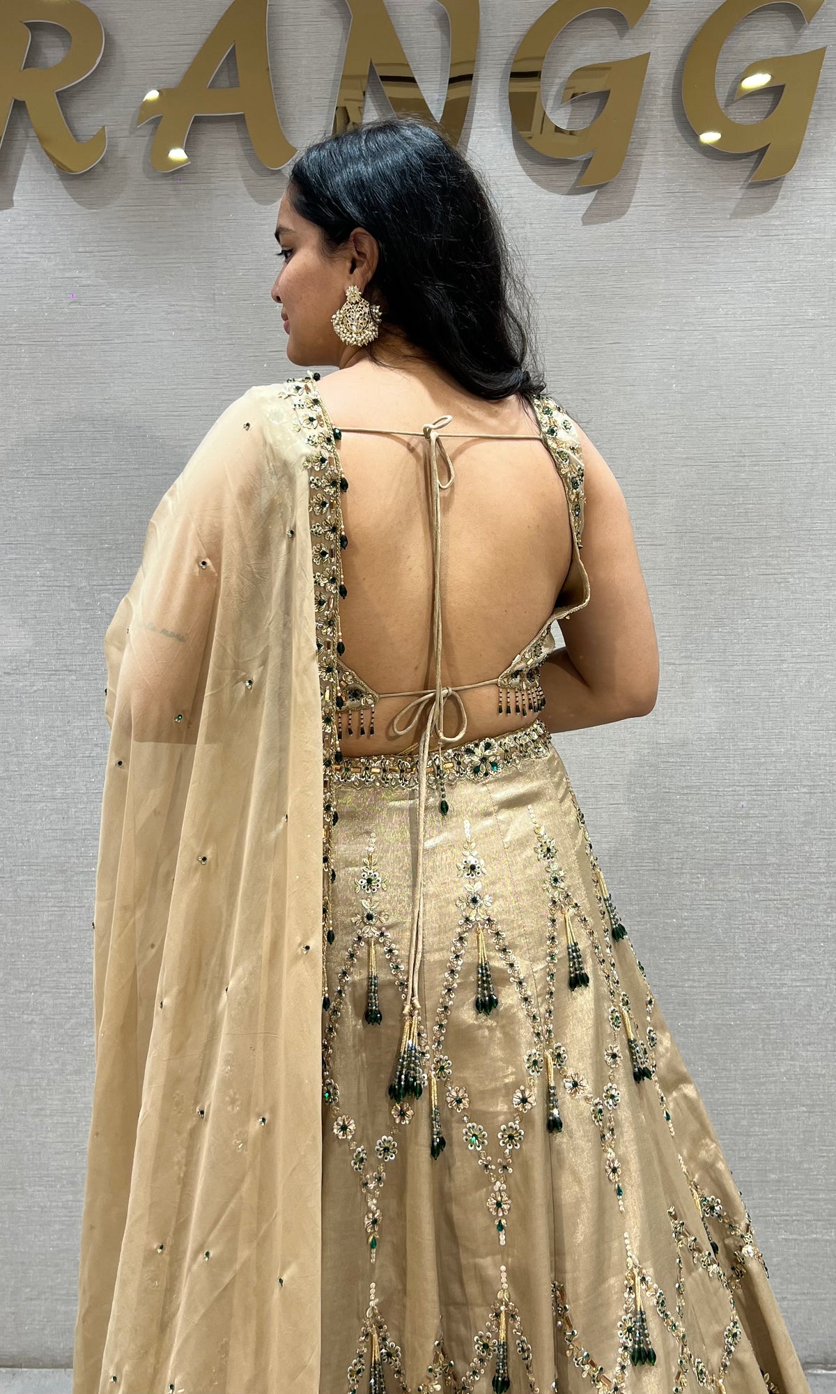 Beige Gold Georgette Embellished Lehenga Choli Set