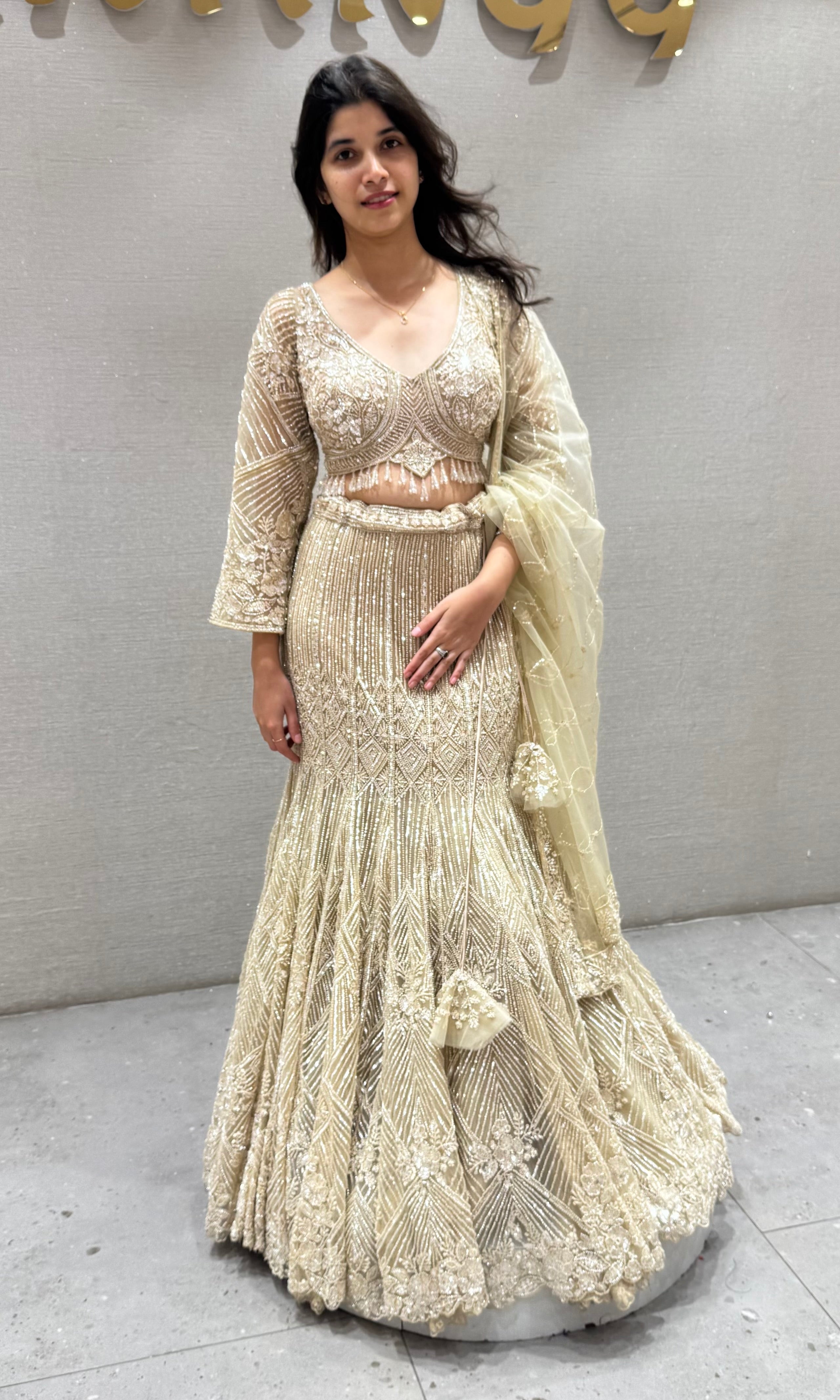 Fawn Net Embroidered Lehenga Choli