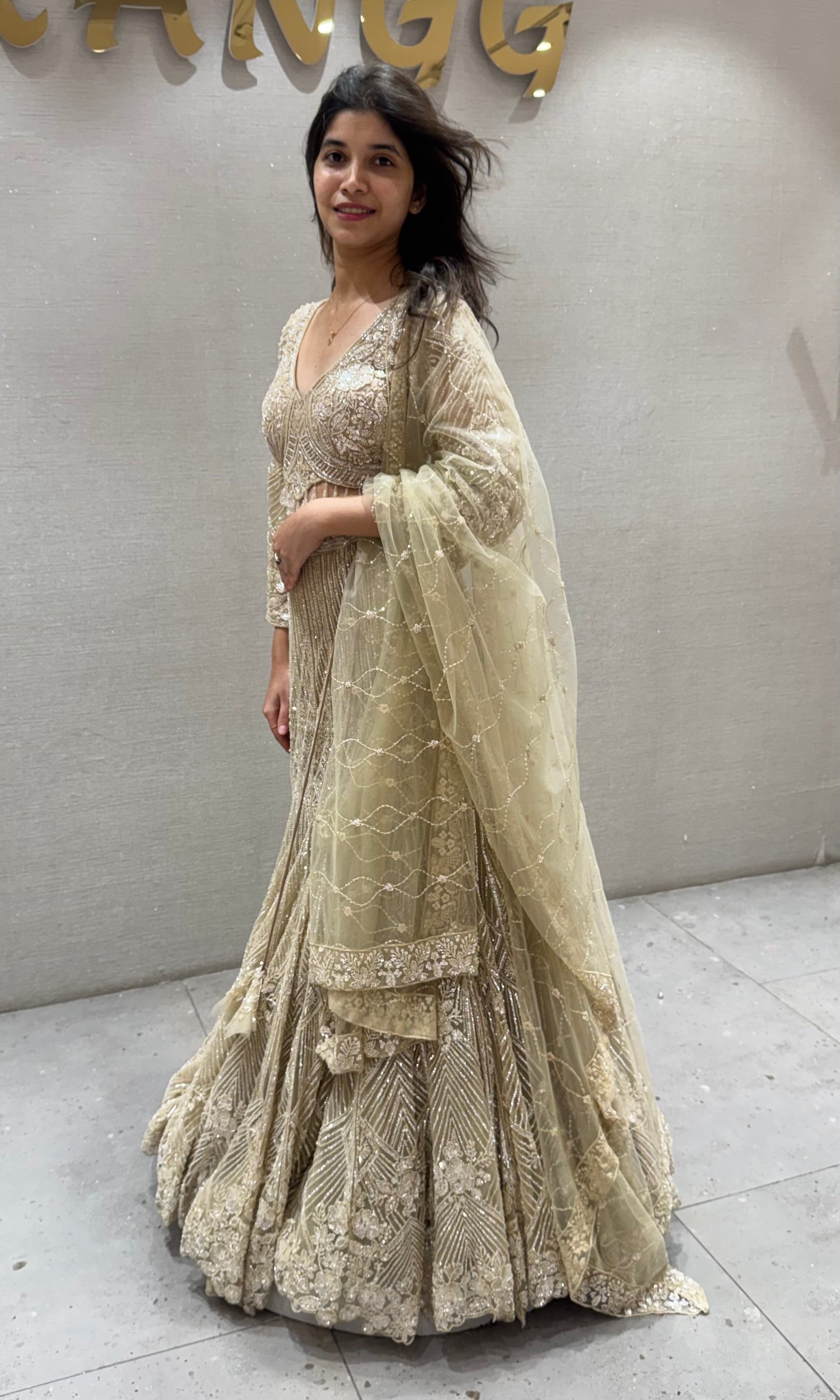 Fawn Net Embroidered Lehenga Choli